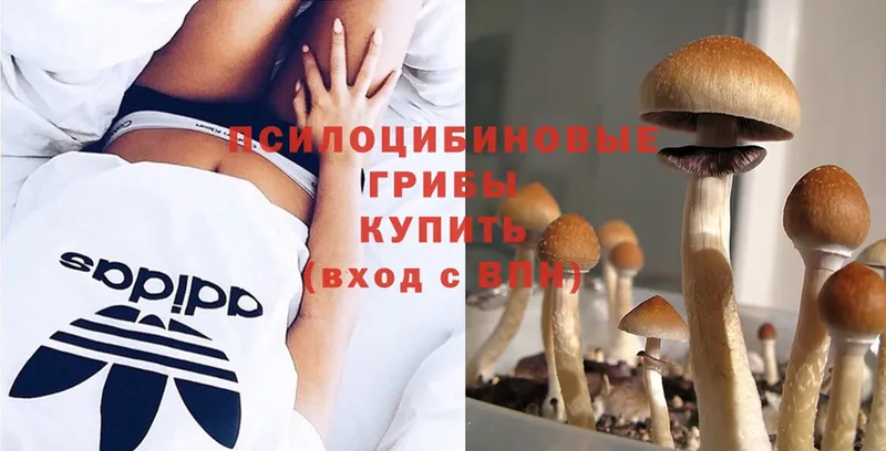 цены   Инта  blacksprut ONION  Галлюциногенные грибы MAGIC MUSHROOMS 